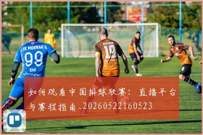 如何观看中国排球联赛：直播平台与赛程指南_20260522160523